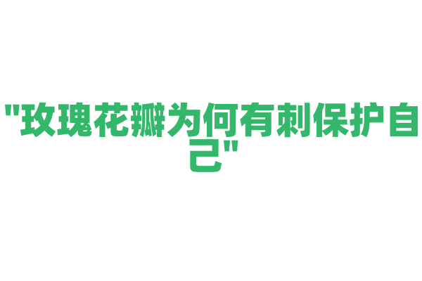 "玫瑰花瓣为何有刺保护自己"